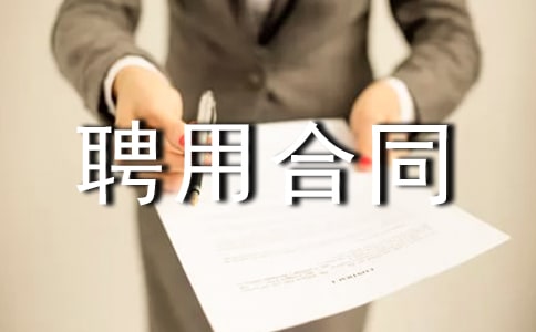個人聘用合同范本