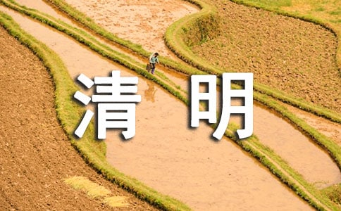 清明節活動總結集錦(15篇)