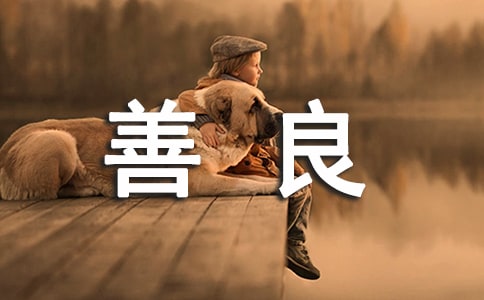 善良感言句子40句