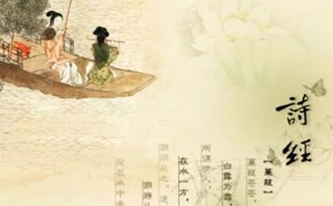 詩經·鄭風·風雨閱讀答案及賞析