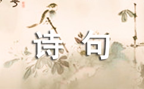 花個性詩句座右銘30句精選