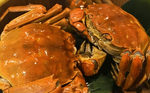 補血的常見食物有哪些