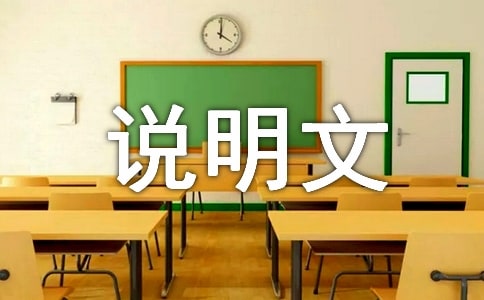 生活是寫作的唯一源泉-六年級-說明文
