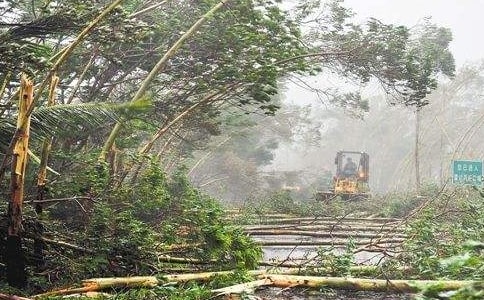 臺風(fēng)暴雨天氣注意事項