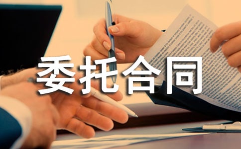 前期物業管理委托合同