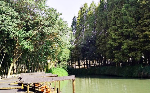 到烏鎮旅游都有哪些好吃的東西