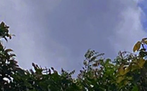 溫馨午安感言大全100句精選