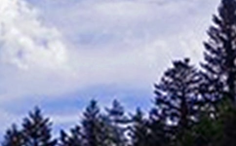經(jīng)典個性午安感言（精選30句）