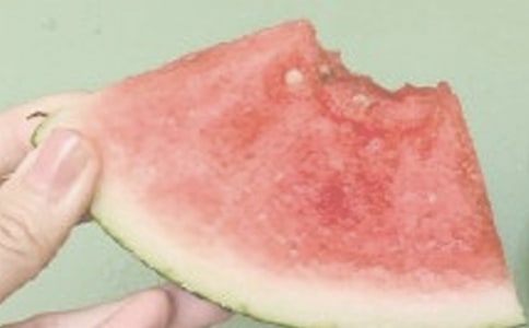 夏日小清新歌曲有哪些