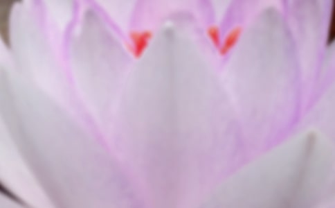 夏至日與夏至區別在哪里
