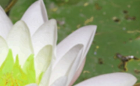 2018年夏至是幾月幾日
