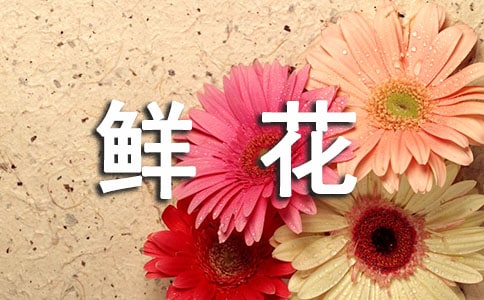 鮮花的保鮮方法有哪些