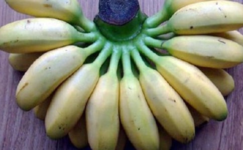 香蕉燕麥粥怎么做