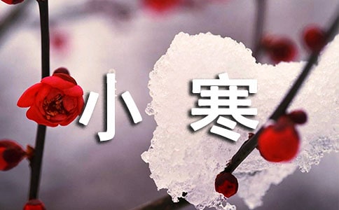 小寒吃什么好養生食物推薦