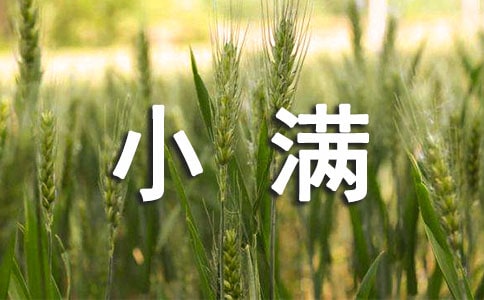 小滿節氣水稻田間管理常識