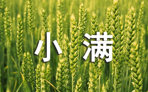 小滿節(jié)氣喝什么粥