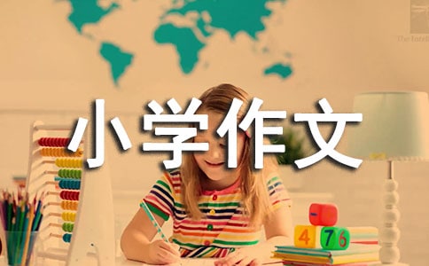 旅游景點小學作文（精選16篇）