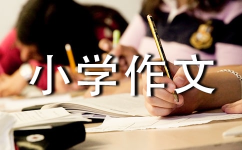 旅游景點(diǎn)小學(xué)作文(13篇)