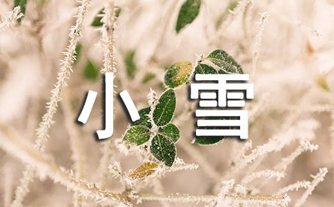 小雪節氣吃什么食物好