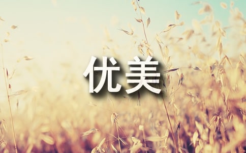 優美的古茶道禮儀[精]