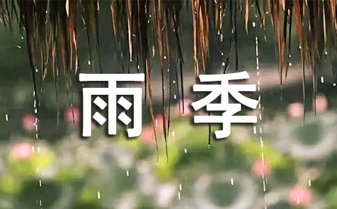 雨季養(yǎng)狗的注意事項(xiàng)