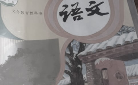 提高初中語文教學質量的方式探討