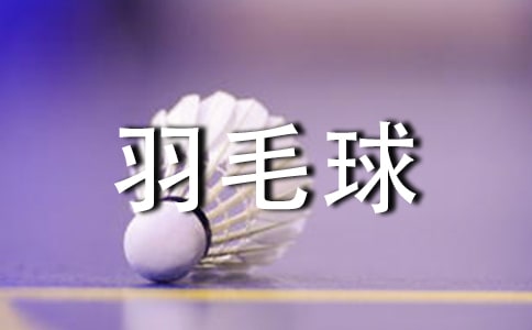 什么牌子羽毛球拍好