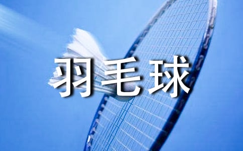 羽毛球單打比賽規則