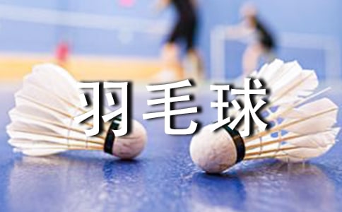 羽毛球規則介紹