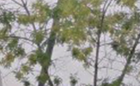 經典生活早安心語微信58條