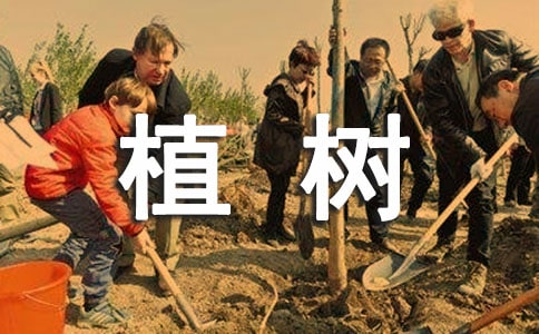 《走，我們?nèi)ブ矘洹穬?yōu)秀