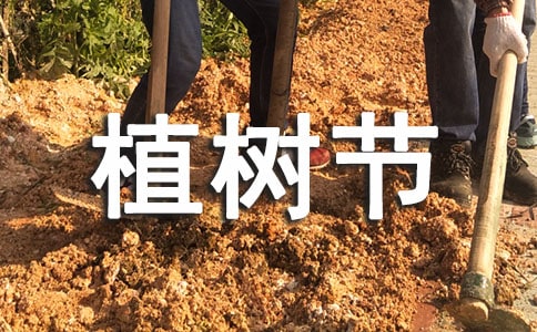 植樹節植樹活動總結
