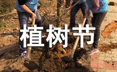 關(guān)于植樹節(jié)的歌曲有哪些