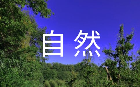 自然災害應急預案