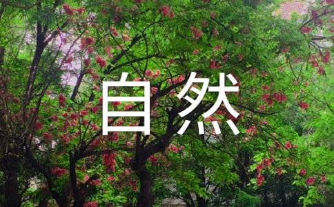 貴州自然景點推薦