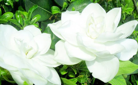 �d�ӻ��B�o�����ļ���