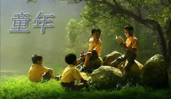 《童年的饅頭》閱讀答案