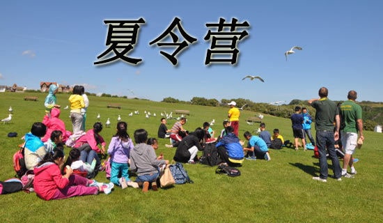 夏令營戶外拓展游戲推薦
